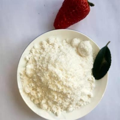 Ζωική πρώτη ύλη ν-Methylbenzamide CAS 613-93-4 φαρμακευτικών ειδών API