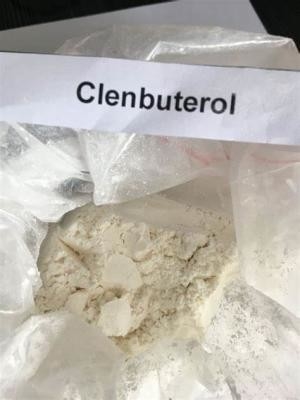 Χημικό wickr σκονών API υδροχλωριδίου Clenbuterol CAS 21898-19-1 εγώ, wanjiang