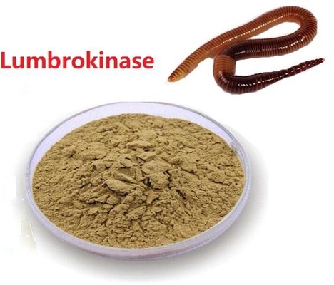API ακατέργαστη σκονών χαμηλής τιμής Lumbrokinase πρώτη ύλη Lumbrokinase παράδοσης αποσπασμάτων ασφαλής